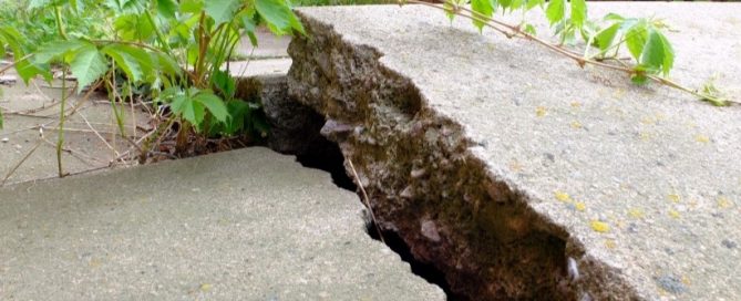 A large crack splits a raised, uneven concrete sidewalk slab, with green plants growing nearby—an issue that may require expert concrete service for repair.