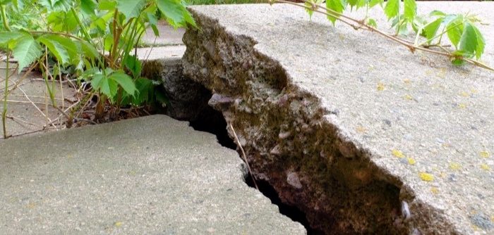 A large crack splits a raised, uneven concrete sidewalk slab, with green plants growing nearby—an issue that may require expert concrete service for repair.