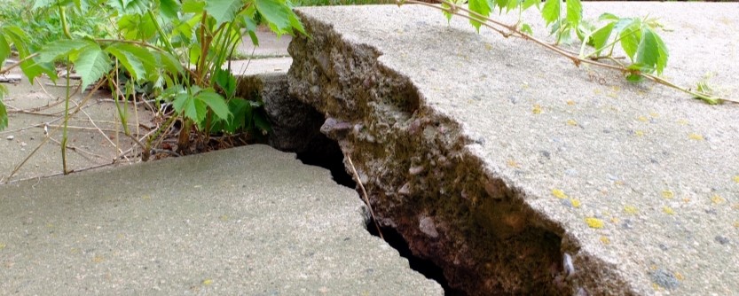 A large crack splits a raised, uneven concrete sidewalk slab, with green plants growing nearby—an issue that may require expert concrete service for repair.