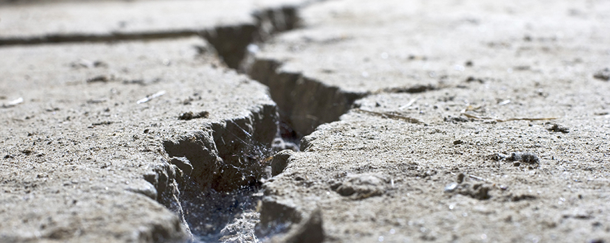 Close-up view of a dry, cracked earth surface with a deep fissure running through the ground—an image reminiscent of challenges overcome by a reliable concrete service.