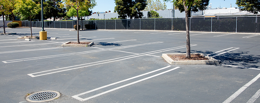 An empty parking lot with clearly marked parking spaces, a few small trees planted in islands, and shadows cast by the trees onto the pavement—showcasing quality concrete service from a trusted residential concrete company.